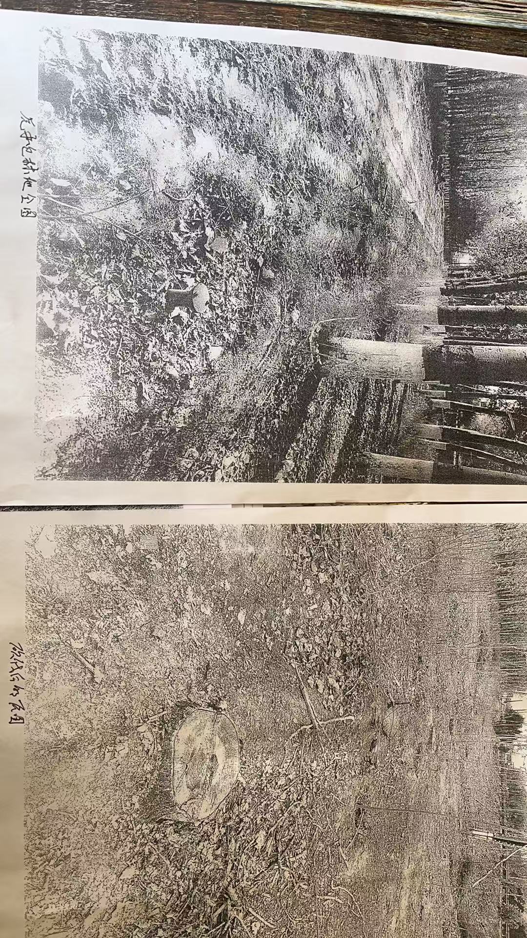 �鶴�ش�������������Σ���Ա�����½���ָΥ��Υ�� ����ʵ���ٱ�